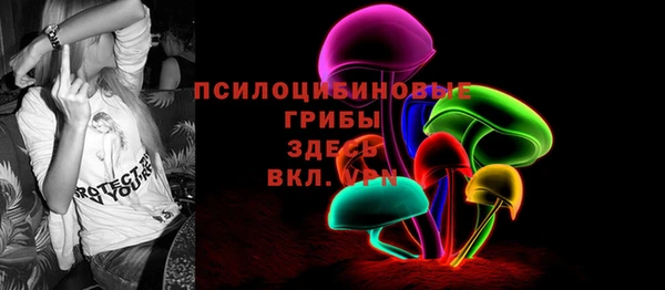 дмт Алзамай