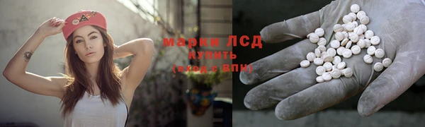 ешки Алексин
