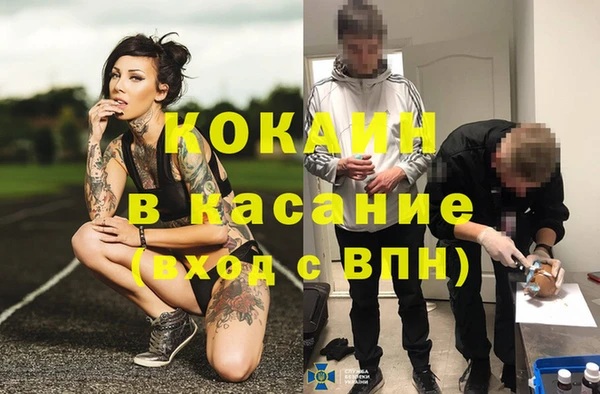 ешки Алексин